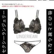 アリエル 可愛い下着 ドMな奥様 大阪本店