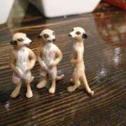 ヒメ日記 2025/04/01 23:18 投稿 小島みなみ プルデリR40