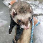 ことり 雪だー⛄️⛄️ the SPA KADOEBI