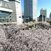 ヒメ日記 2025/04/10 12:00 投稿 まりえ 奥鉄オクテツ神奈川店（デリヘル市場グループ）