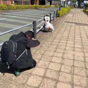 ヒメ日記 2025/04/16 20:00 投稿 まりえ 奥鉄オクテツ神奈川店（デリヘル市場グループ）