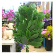 ヒメ日記 2025/06/03 09:30 投稿 まりえ 奥鉄オクテツ神奈川店（デリヘル市場グループ）