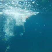 ヒメ日記 2025/06/09 06:50 投稿 まりえ 奥鉄オクテツ神奈川店（デリヘル市場グループ）