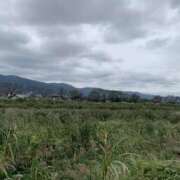 ヒメ日記 2025/06/15 09:05 投稿 まりえ 奥鉄オクテツ神奈川店（デリヘル市場グループ）