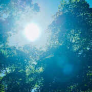 ヒメ日記 2025/06/16 09:00 投稿 まりえ 奥鉄オクテツ神奈川店（デリヘル市場グループ）