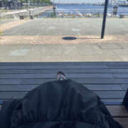 ヒメ日記 2025/06/17 21:00 投稿 まりえ 奥鉄オクテツ神奈川店（デリヘル市場グループ）