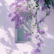 ヒメ日記 2025/07/27 12:30 投稿 まりえ 奥鉄オクテツ神奈川店（デリヘル市場グループ）