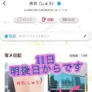 ヒメ日記 2025/04/09 14:08 投稿 柊羽（しゅう） 丸妻 錦糸町店