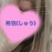 ヒメ日記 2026/07/29 16:36 投稿 柊羽（しゅう） 丸妻 錦糸町店