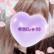 柊羽（しゅう） ひっそり明日 丸妻 錦糸町店