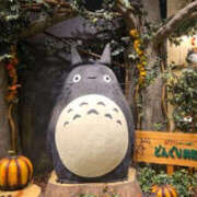 ヒメ日記 2025/10/25 10:44 投稿 藤咲さくら YESグループ水戸　華女