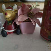 ヒメ日記 2025/11/11 23:41 投稿 藤咲さくら YESグループ水戸　華女