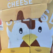 ヒメ日記 2025/12/12 12:58 投稿 藤咲さくら YESグループ水戸　華女