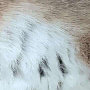 ヒメ日記 2026/04/14 10:03 投稿 藤咲さくら YESグループ水戸　華女