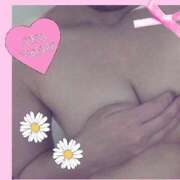 ヒメ日記 2025/07/01 13:49 投稿 みみ One More奥様　横浜関内店