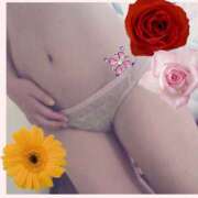 ヒメ日記 2025/11/12 06:51 投稿 みみ One More奥様　横浜関内店