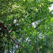 ヒメ日記 2025/08/24 22:39 投稿 あやなみ 川崎・東横人妻城