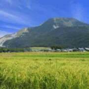 ヒメ日記 2025/09/15 08:00 投稿 あやなみ 川崎・東横人妻城