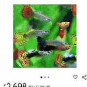 ヒメ日記 2025/10/09 07:37 投稿 あやなみ 川崎・東横人妻城