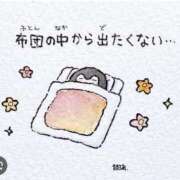 ヒメ日記 2025/12/09 04:34 投稿 あやなみ 川崎・東横人妻城