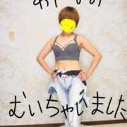 ヒメ日記 2025/12/13 06:57 投稿 あやなみ 川崎・東横人妻城