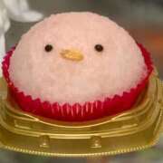 ヒメ日記 2025/04/04 22:25 投稿 小島みなみ プルデリR40滋賀店