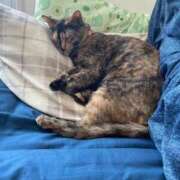 ヒメ日記 2025/07/31 03:08 投稿 天使りる 聖リッチ女学園