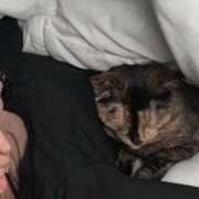 天使りる ほうこく 聖リッチ女学園