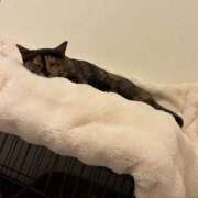 ヒメ日記 2026/01/15 16:08 投稿 天使りる 聖リッチ女学園