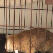 ヒメ日記 2026/03/16 20:22 投稿 天使りる 聖リッチ女学園