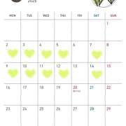 ヒメ日記 2026/02/27 21:31 投稿 ねね 立川人妻研究会