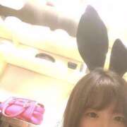 ヒメ日記 2025/04/06 22:05 投稿 あい 萌えコス