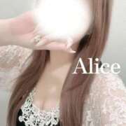 Alice【アリス】 事前ご予約ありがとう💓 クラブ　ブレンダ茨木・枚方店