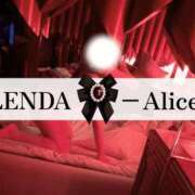 ヒメ日記 2026/02/03 13:16 投稿 Alice【アリス】 クラブ　ブレンダ茨木・枚方店
