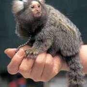 ヒメ日記 2025/04/15 15:58 投稿 新人 さくらｻﾝ De愛急行 栗東インター店