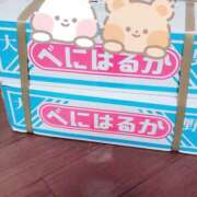ヒメ日記 2025/04/17 12:31 投稿 新人 さくらｻﾝ De愛急行 栗東インター店