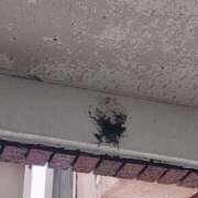 ヒメ日記 2025/04/24 11:01 投稿 新人 さくらｻﾝ De愛急行 栗東インター店