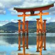 ヒメ日記 2025/05/20 18:13 投稿 すずらん 横浜ハッピーマットパラダイス