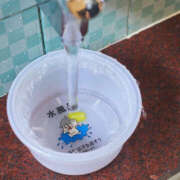 ヒメ日記 2025/11/30 12:04 投稿 すずらん 横浜ハッピーマットパラダイス