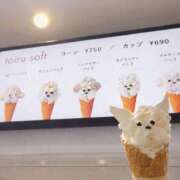 ヒメ日記 2026/04/23 18:13 投稿 すずらん 横浜ハッピーマットパラダイス