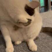 ヒメ日記 2026/09/24 12:04 投稿 すずらん 横浜ハッピーマットパラダイス