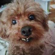 ヒメ日記 2025/06/15 16:10 投稿 いぶき 即トク奥さん