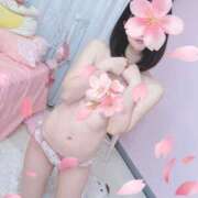 ヒメ日記 2025/04/03 14:06 投稿 いのり E+アイドルスクール池袋店