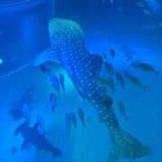 ヒメ日記 2025/07/26 00:04 投稿 いのり E+アイドルスクール池袋店