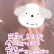 ヒメ日記 2025/06/26 17:09 投稿 のん 浜松駅前ちゃんこ