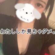 ヒメ日記 2025/07/08 09:09 投稿 のん 浜松駅前ちゃんこ