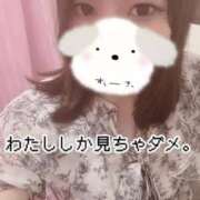 ヒメ日記 2025/07/16 15:29 投稿 のん 浜松駅前ちゃんこ