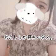 ヒメ日記 2025/08/26 16:10 投稿 のん 浜松駅前ちゃんこ