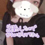 ヒメ日記 2025/08/27 13:19 投稿 のん 浜松駅前ちゃんこ