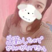 ヒメ日記 2025/09/04 12:29 投稿 のん 浜松駅前ちゃんこ